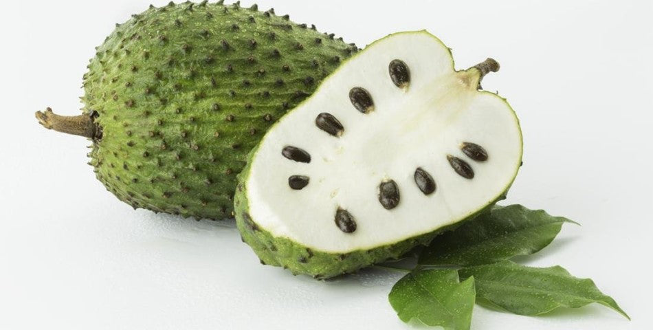 Large Soursop 2kg
