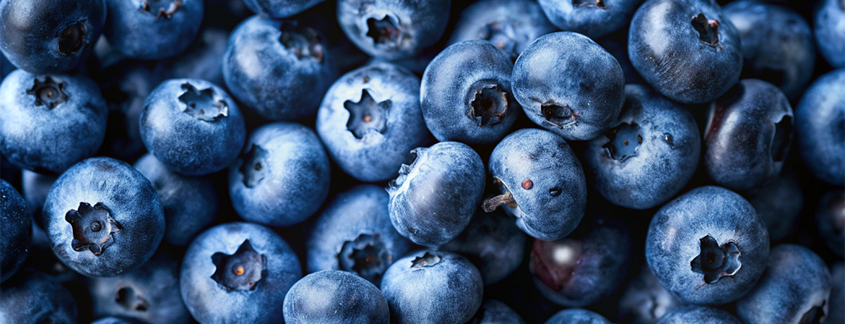 Blueberries 150g