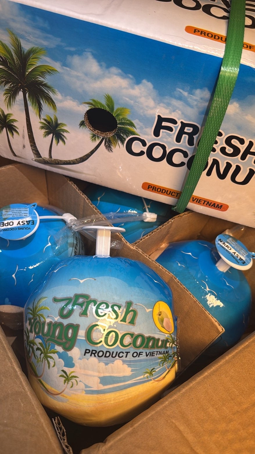 Young drinking coconut