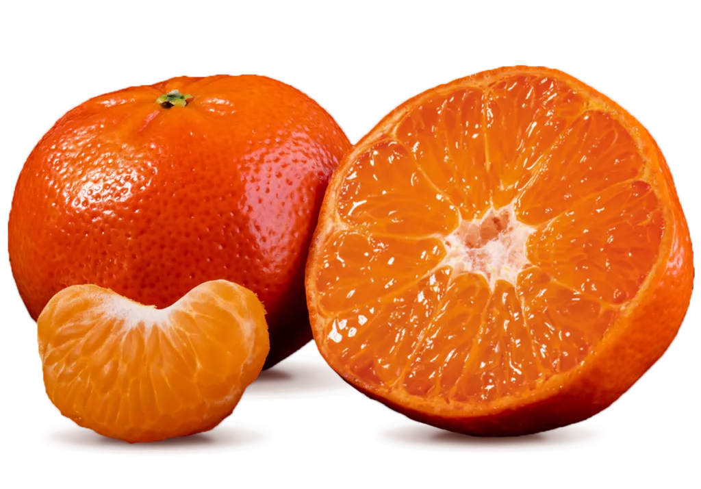 Nadorcott (mandarin) x 6