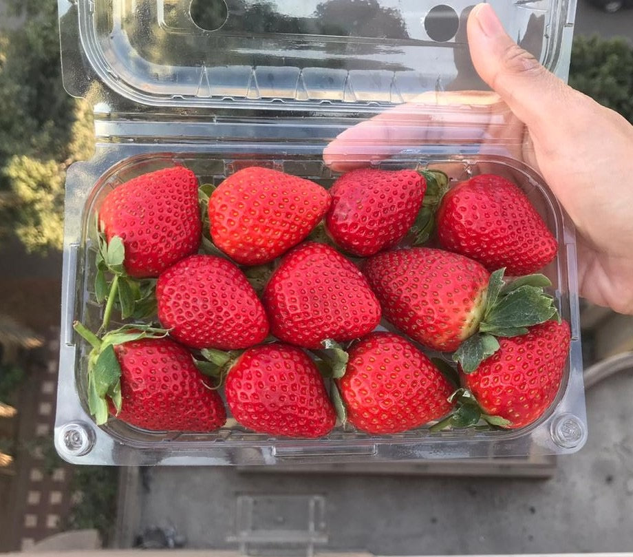 Strawberries