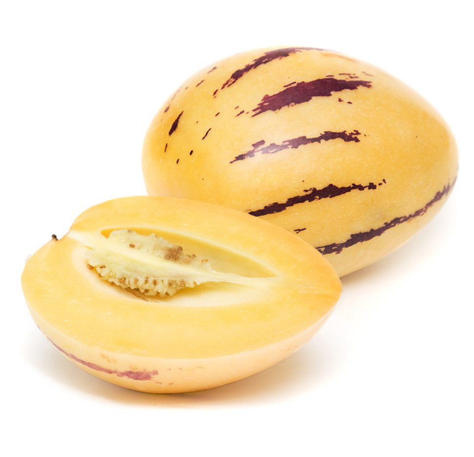 Pepino melon