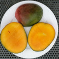 Mangos x2