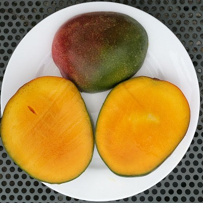 Mangos x2